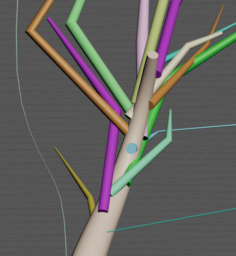 Non Intersecting Branches